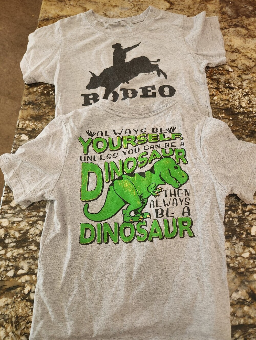 Kids Gray Short-Sleeve Dinosaur Graphic Tee